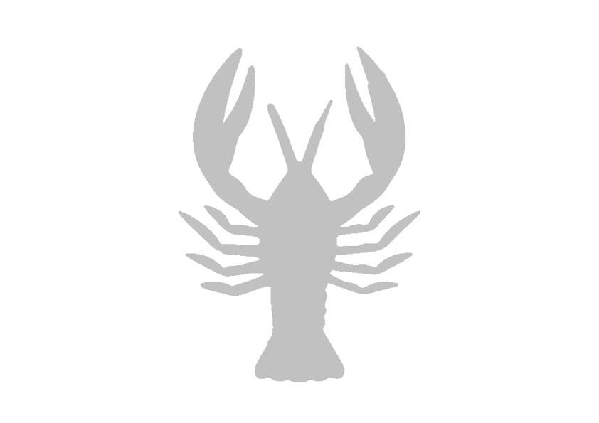https://imgix.udeoghjemme.dk/2023-02-20/krebs1.jpg